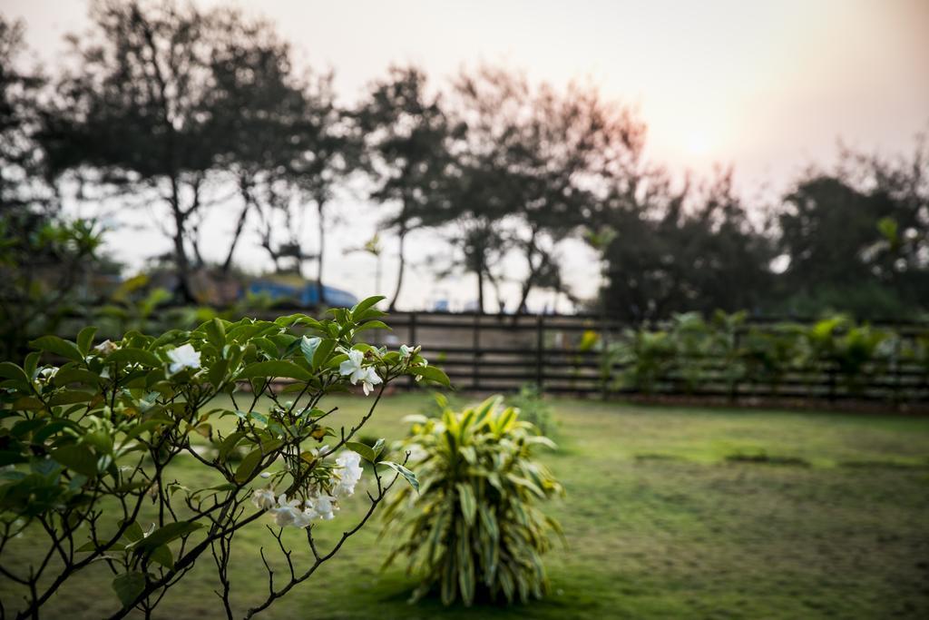 Casa Cubo By The Beach Bed & Breakfast Calangute Exterior photo